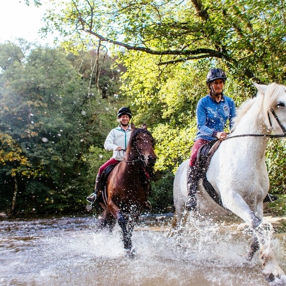 Horses and riders trotting through the shallow water.