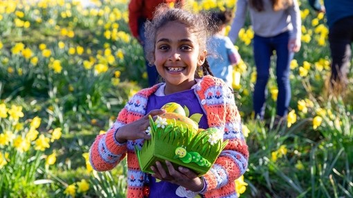 A girl standing in a field of daffodil flowers in Hexham, Northumberland.
