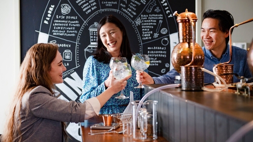Man and two women, one in a wheelchair sitting in a bar at a gin tasting distillery experience
