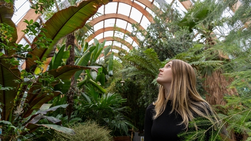 A woman walking past plants in a large temperate glasshouse