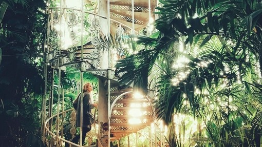 Woman going up the staircase in the Palm House
