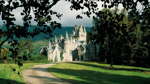 A pathway leading to a fairytale castle, surrounded by manicured lawns and framed by foliage.