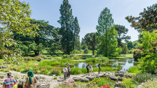 People strolling through gardens and past a pond in a Botanic Gardens.