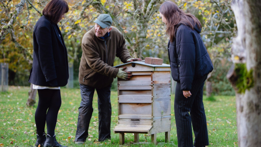 Three people looking at beehive in a garden