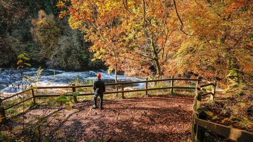 A person exploring a nature reserve on an autumnal day with a river flowing by.