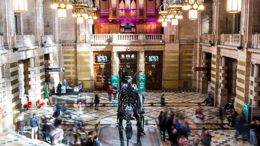 People in a museum atrium looking at a dinosaur skeleton