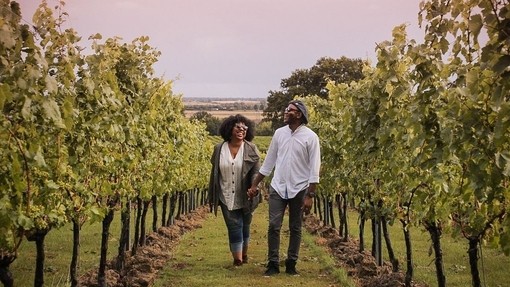 Man and woman walking between vines at a vineyard