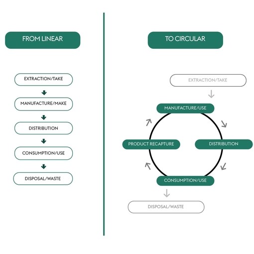 Illustration showing linear vs circular economy