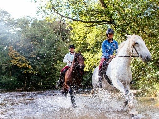 Horses and riders trotting through the shallow water.