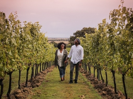Man and woman walking between vines at a vineyard