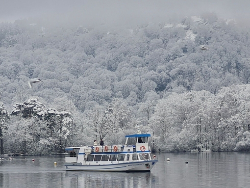 A boat cruising on a lake in winter, snow covering the surrounding woods