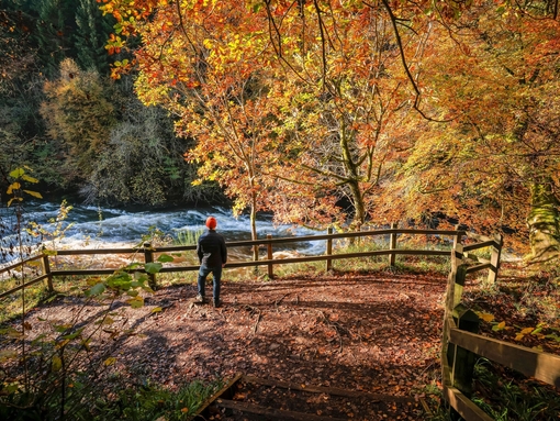 A person exploring a nature reserve on an autumnal day with a river flowing by.