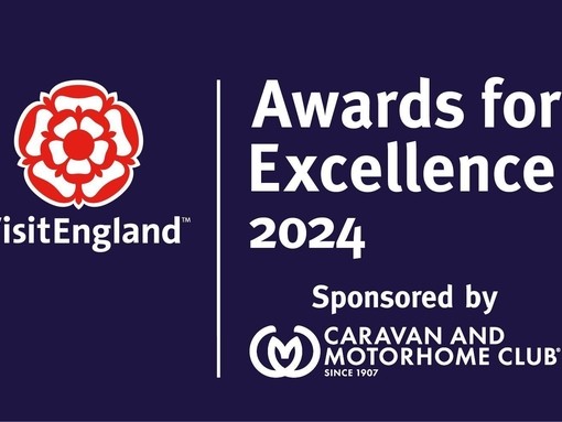 2024 VisitEngland Award for Excellence Logo - LANDSCAPE RGB NAVY