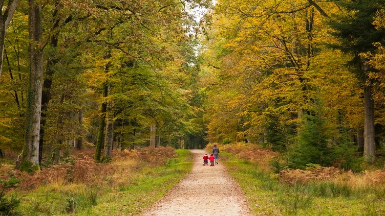Mother and children walking along a path in the New Forest in early Autumn