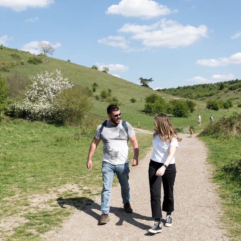 National Trust Black Down