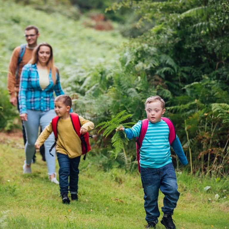 Family walking down a path between ferns in a forest