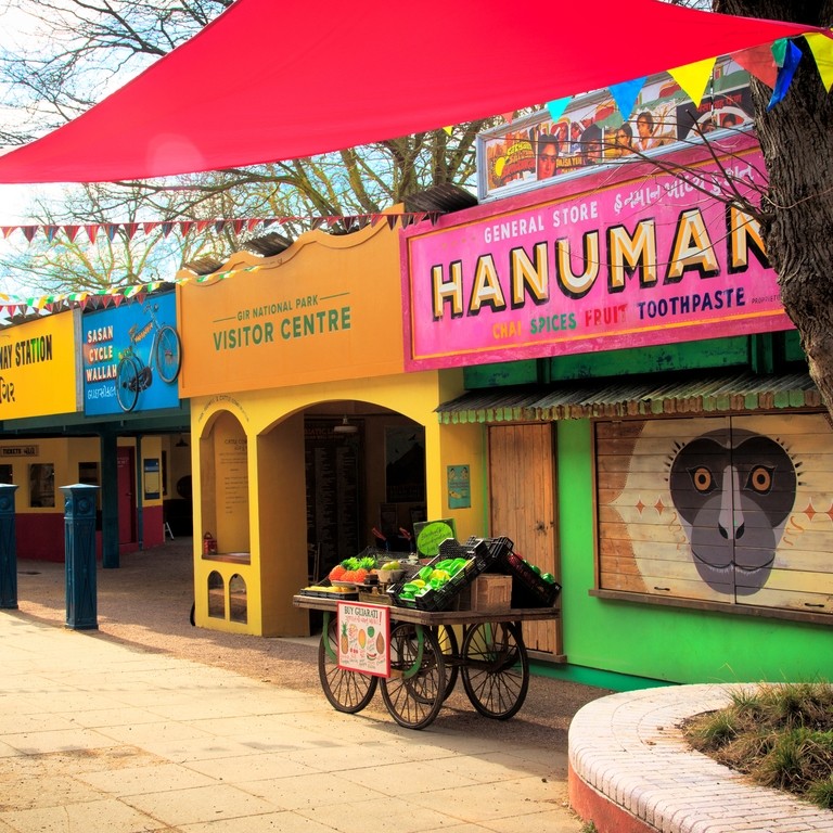 Land of the Lions at ZSL London Zoo