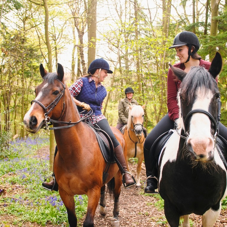 Horseback riders riding through a forest and talking