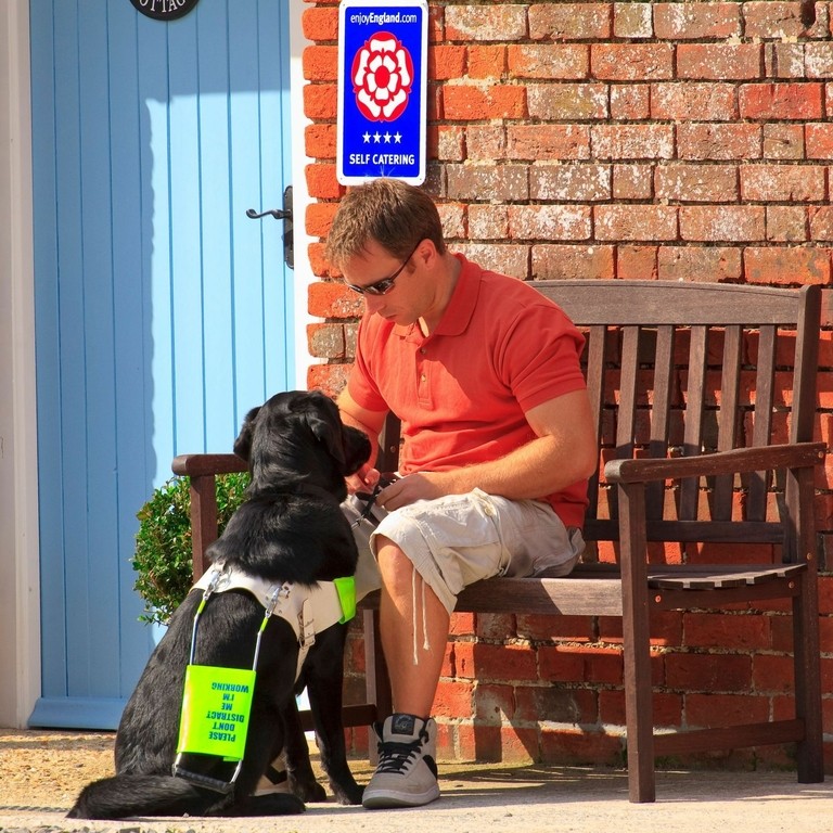 A man sat on a bench outside with his assistance dog