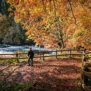 A person exploring a nature reserve on an autumnal day with a river flowing by.