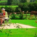 Female wheelchair user sat in the garden, reading