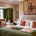 Accessible bedroom, large double bed