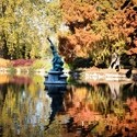Autumn colour at Royal Botanic Garden, Kew
