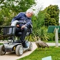 A man in a mobility scooter leans over to look at two birds by him on the ground. WWT Slimbridge Wetland Centre- Bronze award winner for for the Accessible and Inclusive Tourism Award at the VisitEngland Awards for Excellence 2023.