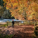 A person exploring a nature reserve on an autumnal day with a river flowing by.